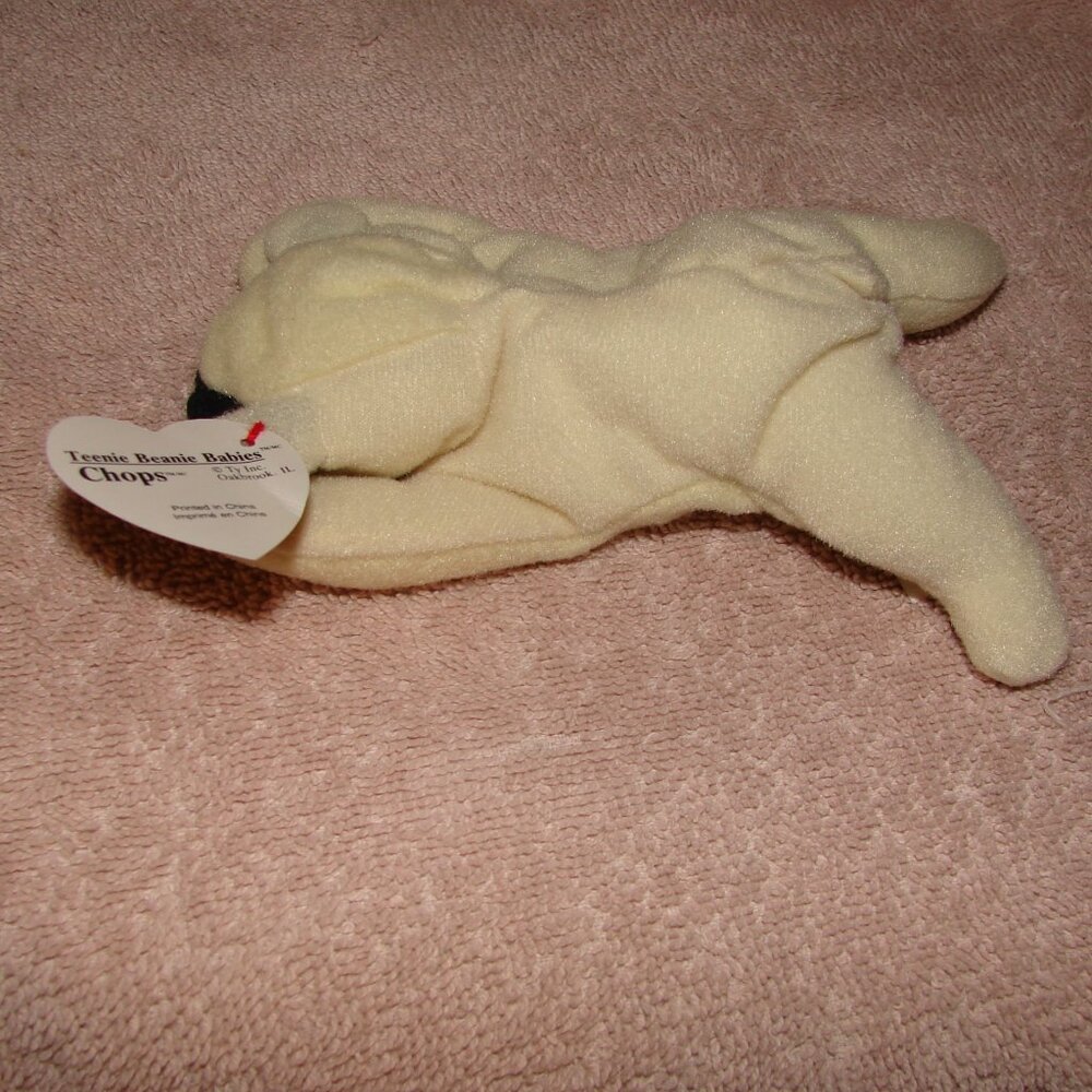 "A02" Teenie Beanie Babies